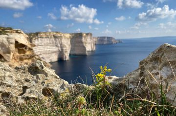 Fernwanderung Malta Gozo Etappe 4 14