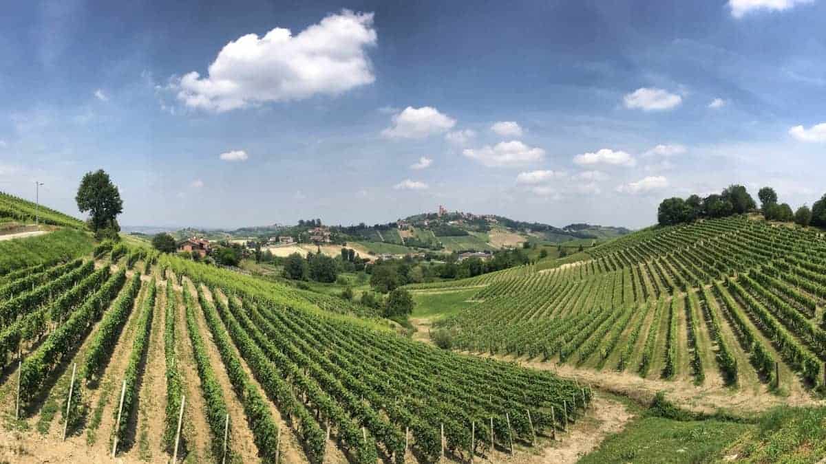 Langeafstandswandeling in Piemonte van wijnmakerij naar wijnmakerij 011a