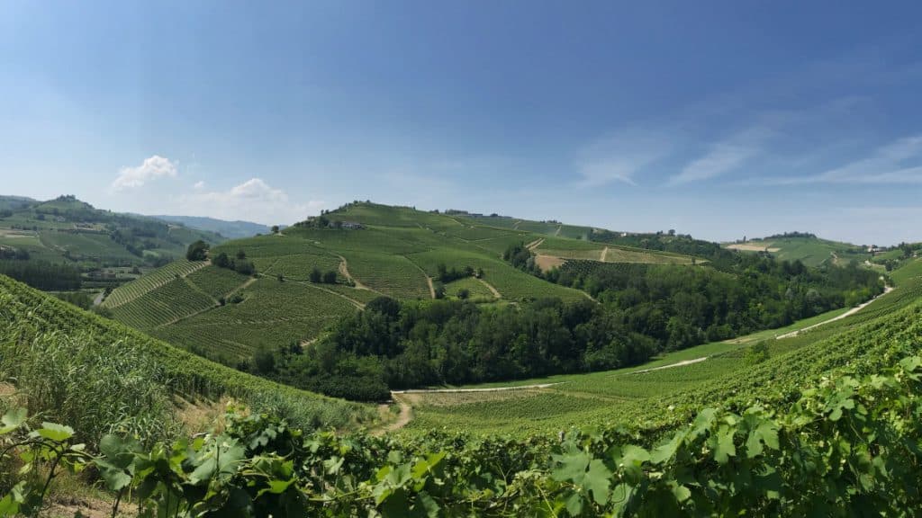 Escursione di lunga distanza in Piemonte dalla cantina alla fase 3 della cantina 13