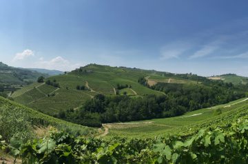 Fernwanderung Piemont von Weingut zu Weingut Etappe 3 13