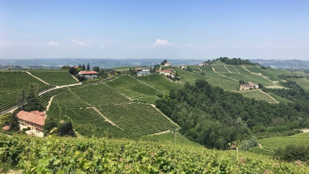 Langeafstandswandeling in Piemonte van wijnmakerij naar wijnmakerij etappe 4 12