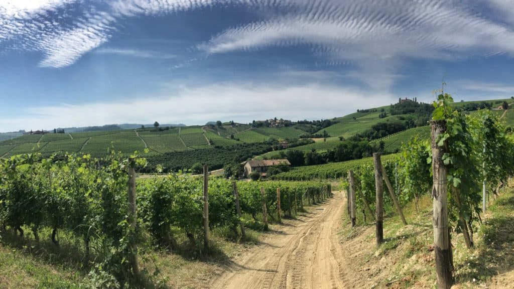 Langeafstandswandeling in Piemonte van wijnmakerij naar wijnmakerij etappe 5 23