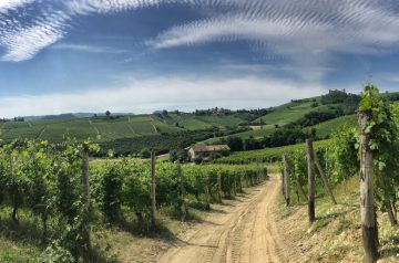 Fernwanderung Piemont von Weingut zu Weingut Etappe 5 23