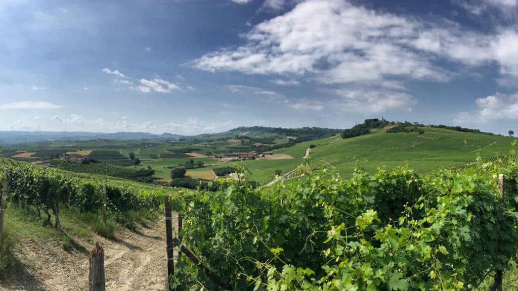 Langeafstandswandeling in Piemonte van wijnmakerij naar wijnmakerij etappe 6 08