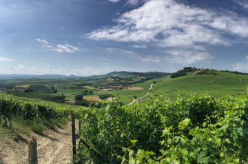 Fernwanderung Piemont von Weingut zu Weingut Etappe 6 08