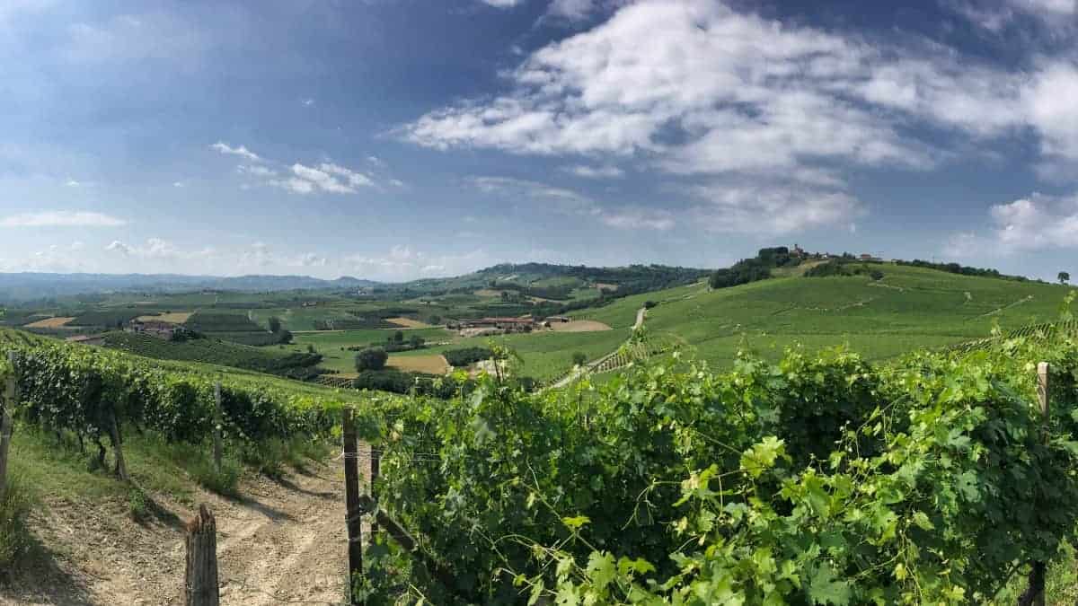Fernwanderung Piemont von Weingut zu Weingut Etappe 6 08