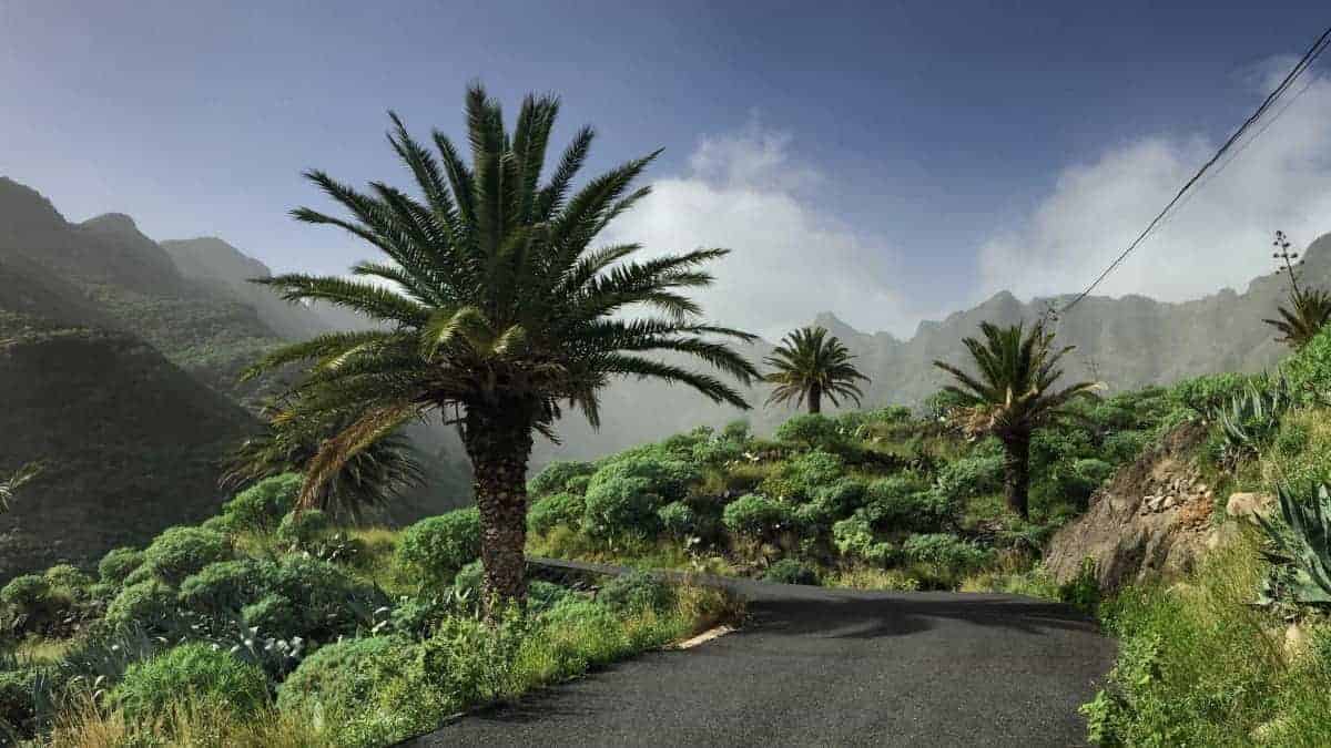 GR132 Rundwanderung La Gomera 1