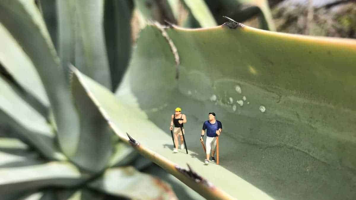 Kustwandeling Algarve vragen en ervaringsrapporten