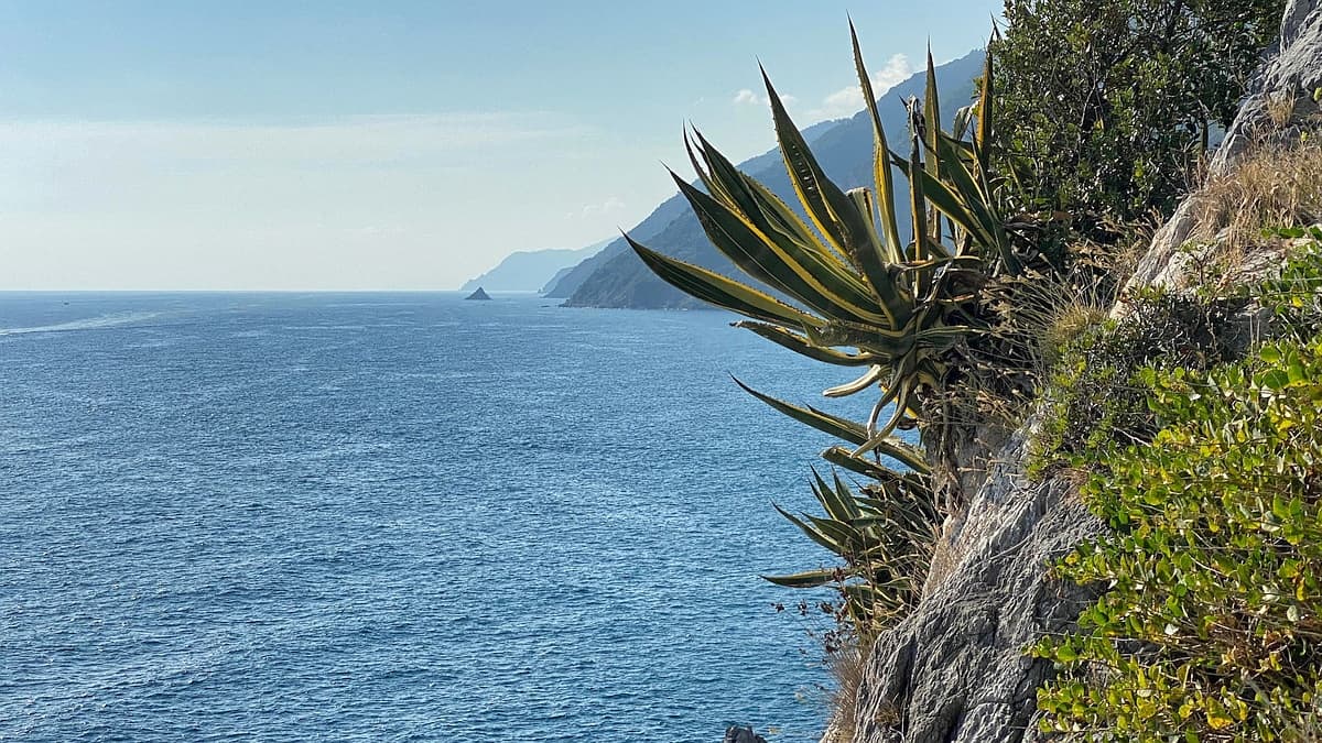 Ligurische Küste Cinque Terre Fernwanderung Etappe 6 27