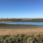 Blick auf Praia de Faro und Muschelsucher