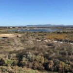 Blick ins Hinterland