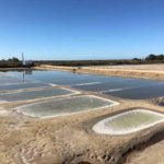 Salzgewinnung in einer der Salinas im Parque Natural Ria Formosa