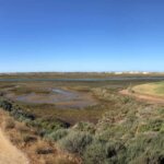 Die Wanderung führt durch die vielfältige Lagunenlandschaft der Ria Formosa