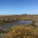 Strandgastronomie an der Ria Formosa