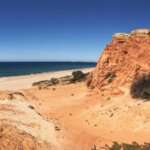 Formen- und Farbenvielfalt