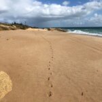 Praia da Galé