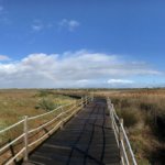 Bequeme Wanderstrecke auf Holzstegen durch die Lagoa dos Salgados