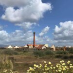 Durch Brachland bis zur Brücke nach Portimão