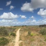 Fußweg durch Brachland bis zur Brücke nach Portimão